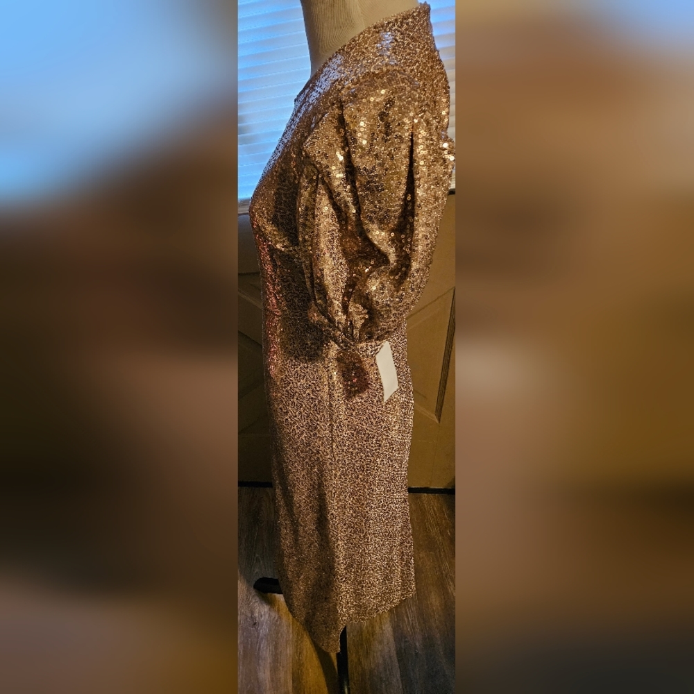 NWT Rachel Parcell Rose Sequin Puff Shoulder Midi Dress XS - Picture 8 of 8